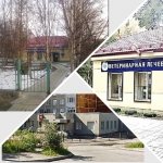 Режим работы ветлечебниц в Мурманской области в майские праздники