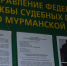 35 штрафов за нарушение ПДД оплатил мурманчанин ради авто - ИА Nord-News.Ru