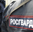 В Заполярье 18 северян незаконно пользовались оружием - Вечерний Мурманск