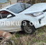 В Кандалакше Kia без водителя остановила теплотрасса - SeverPost.ru
