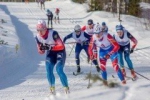 Полярный кубок