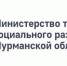 О проведении второго конкурса среди СО НКО в 2021 году - Город Мурманск