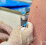 Вакцинация - Телекомпания ТВ-21