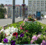 Рейды и проверки - Город Мурманск