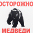 Медвежья семья бродит в окрестностях Ковдора - Вечерний Мурманск