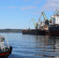 «Золотой караван» вновь пройдет по Севморпути - Region51.Com