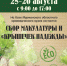 В музее состоится сбор макулатуры и пластиковых крышек - Краеведческий музей