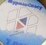 Мурманские волонтеры отметили День рождения - Вечерний Мурманск
