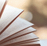 Книга - Телекомпания ТВ-21