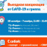 После введения QR-кодов в Заполярье темпы вакцинации выросли двое - ИА Nord-News.Ru