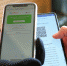 Законопроектам о QR-кодах предстоит серьезная доработка с учетом мнения граждан - Вечерний Мурманск