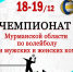 В Оленегорске пройдут игры чемпионата Мурманской области по волейболу - Hibiny.Com