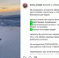 Собака-блогер прилетела в Кировск - Сетевое издание Новости Мурманской области