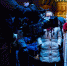 Мурманчан пригласили на съёмки новогодней сказки - SeverPost.ru