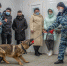 Мурманские студенты познакомились  с жизнью служебных собак   в кинологическом центре УМВД - Hibiny.Com