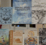 Новые книги саамских авторов презентовали в областной «Научке» - Правительство Мурманской области