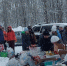 В Апатитах люди с мусорными мешками встали в очередь - SeverPost.ru
