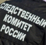следственный комитет - ИА Невские Новости