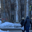 Мурманчане недовольны последствиями механизированной уборки снега - SeverPost.ru