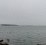 Берег - Телекомпания ТВ-21