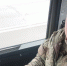 Крупный пожар в Североморске попал на видео - SeverPost.ru