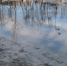 Вода - Телекомпания ТВ-21