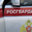 Автомобиль под охраной Росгвардии - УВО при УВД