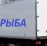 Компания-фантом успела "оформить" 22,5 тонн рыбной продукции в Мурманске - ИА B-Port.Com