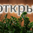 Банк «Открытие» заменит иностранных роботов российскими - ИА Nord-News.Ru
