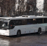 Автобусы - Телекомпания ТВ-21