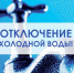 Фото из открытых источников - Hibiny.Com