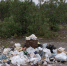 Берега озера Лапоть зарастают мусором - SeverPost.ru