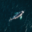 fc04a32528139086d40e4a90524a8ea6 - НИА Мурманск