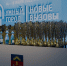 Мурманск вошёл в десятку крупных городов-победителей IQ рейтинга России - Комитет по развитию информационных технологий