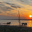 The mouth of the Varzuga River. Photo by Dmitry Novikov - Мурманское отделение РГО