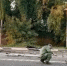 Убийство Дарьи Дугиной было заказным - SeverPost.ru