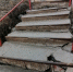 фото Надежда Сниховская - Hibiny.Com