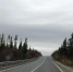 Движение авто по мосту в Зареченск возобновили - ИА Nord-News.Ru
