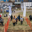 100 жителей Заполярья поучаствовали в самом северном забеге в гору - SeverPost.ru