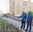 «Единая Россия» проверила качество озеленения дворовой территории в Мурманске - Единая Россия
