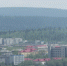 «Ковдорслюду» ликвидируют окончательно - SeverPost.ru