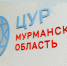 Андрей Чибис поручил разобраться с отсутствующим освещением на автодороге к Луостари - Арктик-ТВ