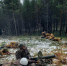 В Оленегорске завершился слёт «В одном строю с Победой» - Hibiny.Com