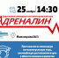 В Мурманске  состоится командная интеллектуальная игра «Адреналин» - Hibiny.Com