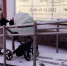 В доступе отказано - SeverPost.ru
