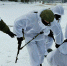 Физподготовку военных намерены расширить и ужесточить - SeverPost.ru
