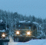 Североморцы прошли 150 км на «Алеутах» - SeverPost.ru