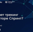 ФРИИ встречается с ведущий трекером акселератора «Спринт» 27 декабря - Комитет по развитию информационных технологий