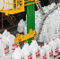 ФосАгро расширила гамму своей продукции - SeverPost.ru