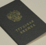 Электронную трудовую книжку завели более 54 тысяч жителей Кольского Заполярья - ИА B-Port.Com